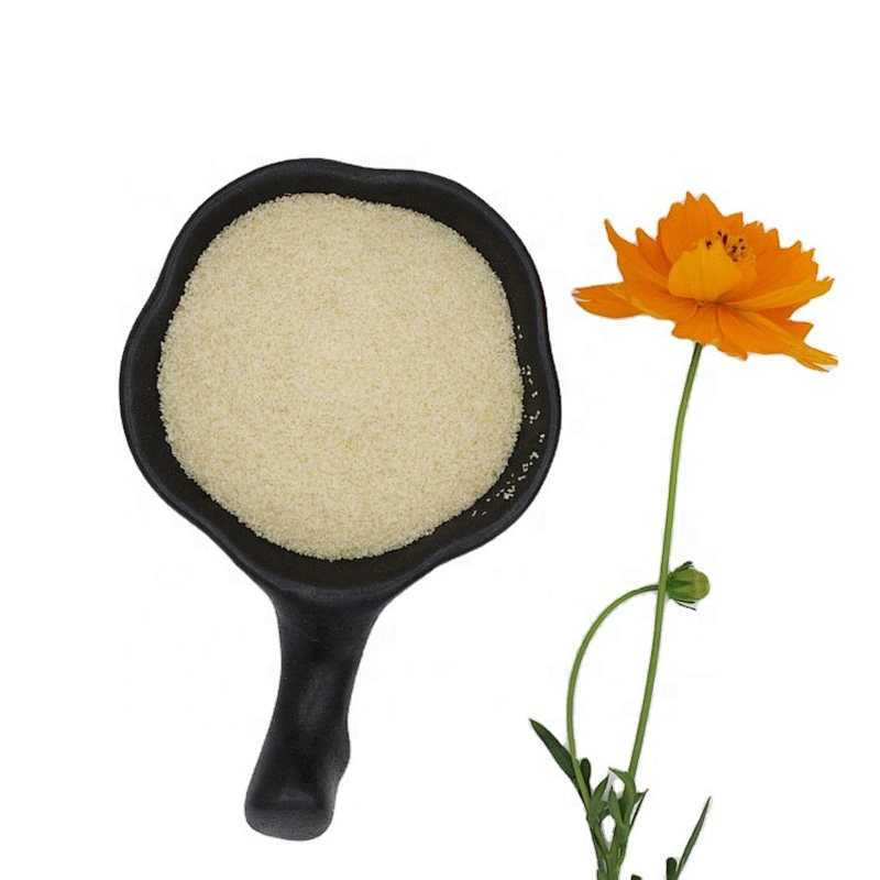 Food Additives CAS 9000-70-8 Bovine Skin Gelatin Bovine Beef Bone Gelatin 240 Bloom